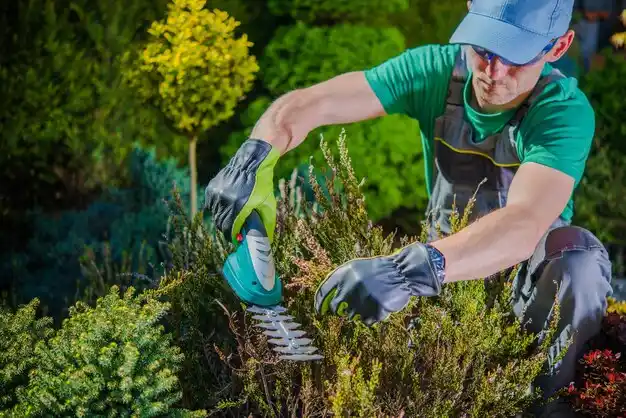 landscaping services West Islip